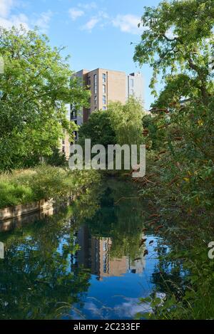 Der New River im Sommer bei Woodberry Down im Londoner Stadtteil Hackney, North London, Großbritannien Stockfoto