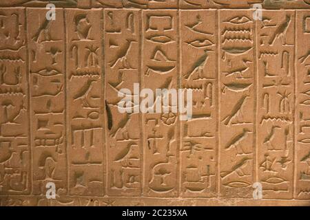 Leiden, Niederlande - 01. JAN 2019: Echte alte Hieroglyphen in Stein auf der Ausstellung Gods of Egypt. Stockfoto