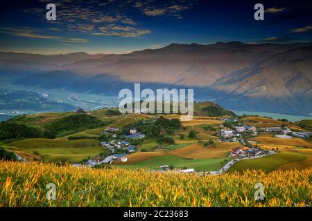 Die Luftaufnahme der berühmten und schönen Daylily Blume am 60 Stone Mountain in Hualien Taiwan Stockfoto