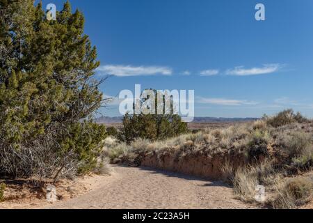 Pfad in Felsen und Sand der Chihuahuan Wüste geschnitten, Bäume und trockenes Gras vor entfernten Bergen, blauer Himmel kopieren Raum, horizontaler Aspekt Stockfoto