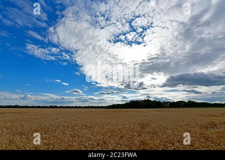 Malerische ländliche Landschaften, das Dorf Korolevka Ukraine. Stockfoto