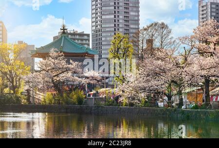 ueno, japan - märz 31 2020: Achteckige Shinobazuike Bentendo Halle der Göttin der Künste Benten gewidmet, umgeben von Kirschblüten Bäume auf dem Teich von Stockfoto