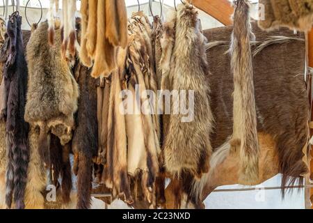 Verschiedene hängenden Fell Stücke auf einem mittelalterlichen Markt gesehen Stockfoto