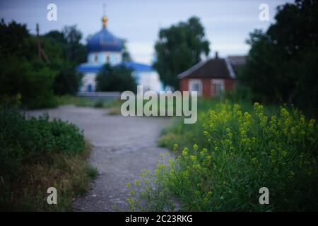 Ruhiger Abend im Dorf. Wildblumen wachsen auf einem verschwommenen Hintergrund eines ländlichen Hauses und einer Kirche. Stockfoto