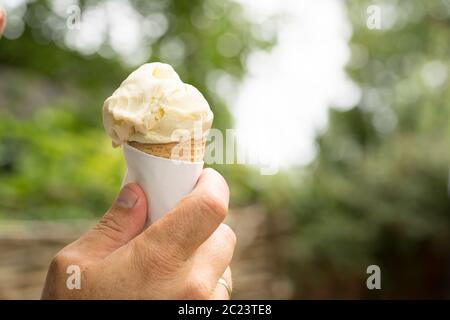 Ein Kegel mit einer Kugel Vanilleeis in einer kausasiatischen männlichen Hand im Freien mit einem Garten im Hintergrund gehalten Stockfoto