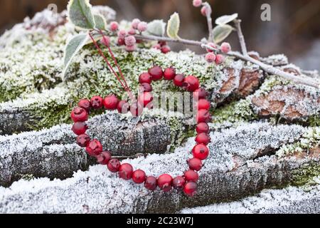 Rotes Herz aus Beeren im Freien an einem kalten Wintertag Stockfoto