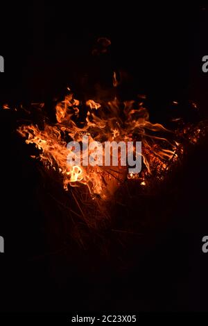 Feuer. Verbrennung von Reisstroh in der Nacht. Stockfoto