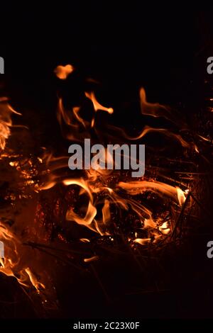 Feuer. Verbrennung von Reisstroh in der Nacht. Stockfoto