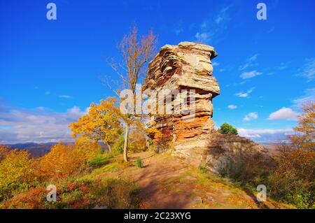 Burg Anebos in Pfälzer Wald im Herbst, Deutschland Stockfoto