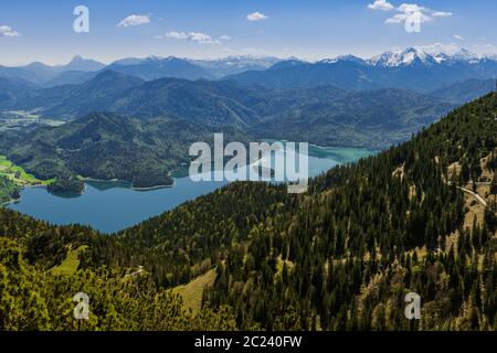 Walchensee von oben Stockfoto