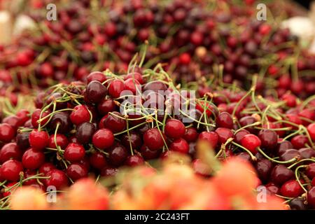 Rote Kirschen auf dem Markt Tabletts zum Verkauf Stockfoto