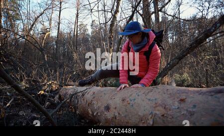 Junge Frau mit Rucksack tritt mit Rucksack über einen gefallenen Baum im Wald. Thema Wandertourismus im Wald. Stockfoto