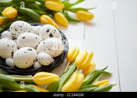 Schöne gelbe Tulpen mit gepunkteten Wachteln und Huhn Eier im Nest auf Weiß Stockfoto