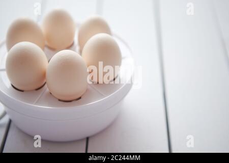 Huhn Eier in einem Ei Elektroherd auf einem weißen Tisch Stockfoto