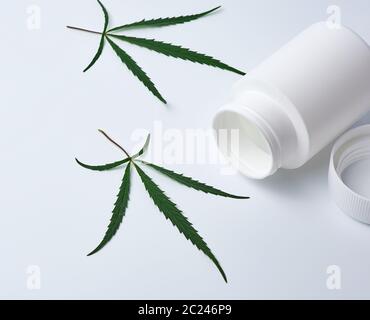 Öffnen leer aus weißem Kunststoff medizinische Jar für Pillen und grün Hanf Blatt auf einem weißen Hintergrund, alternative Medizin Konzept Stockfoto