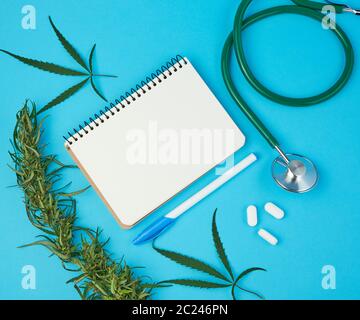 Öffnen Sie Notizbuch mit weißen leere Blätter, Hanf Zweig mit grünen Blättern auf einem blauen Hintergrund, Konzept der alternativen Medizin, Platz für das Schreiben eines prescrip Stockfoto