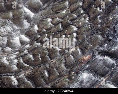 Vollbildbild von verbranntem schwarzem Holz mit rissiger verkohlter Textur Stockfoto