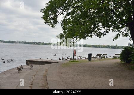 HUMBERG, DEUTSCHLAND- 11 Juni 2018 , Alsterwiese Schwanenwik Pack und guter Ort in Deutschland beliebt Stockfoto