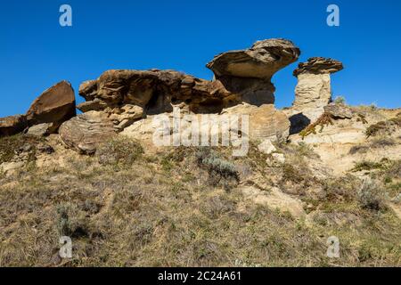 Hoodoos der Badlands in Kanada Stockfoto