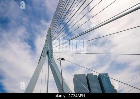 Erasmus Hängebrücke über die Nieuwe Maas in Rotterdam, Niederlande Stockfoto
