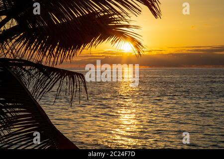 Die Sonne sinkt im Paradies unter Palmen ins Meer Stockfoto