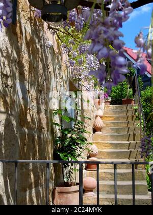 Altes gepflegtes Haus Detail in mediterranem Flair mit gelber Natursteintreppe und blühender Glyzinie Stockfoto