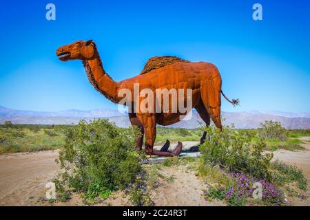 California, USA, März 2019, knieende Dromedary-Metallskulptur des Künstlers Ricardo Breceda im Anza-Borrego Desert State Park Stockfoto