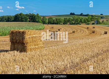Strohballen auf einem Feld in Bayern Stockfoto