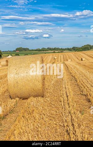 Strohballen auf einem Feld in Bayern Stockfoto
