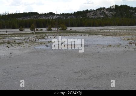 Spätsofter im Yellowstone Nationalpark: Trockene Palpitator Quelle im Back Basin Bereich des Norris Geyser Basin Stockfoto