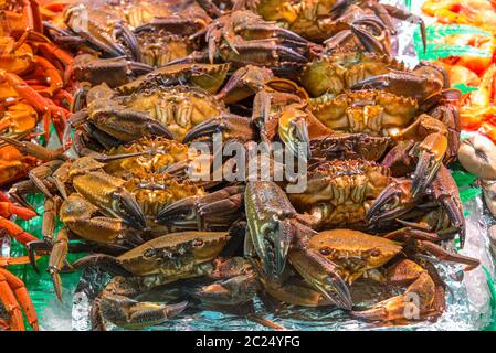 Krabben zum Verkauf auf einem Markt in Madrid, Spanien Stockfoto