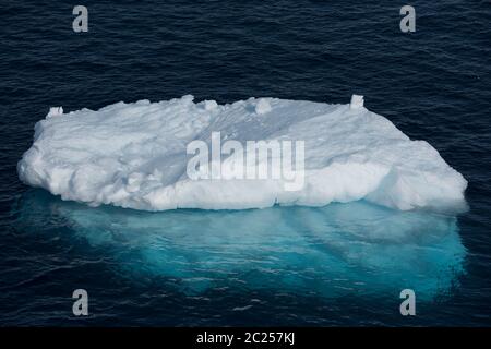 Eine Eisscholle in der Hope Bay auf der Trinity Peninsula, Antarktis. Stockfoto