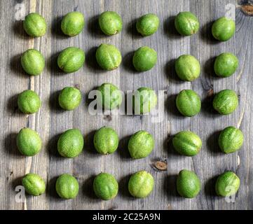 Junge grüne Früchte der Walnüsse liegen in den Zeilen auf einem grauen Hintergrund Holz Stockfoto