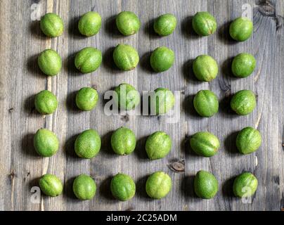 Junge grüne Früchte der Walnüsse liegen in den Zeilen auf einem grauen Hintergrund Holz Stockfoto