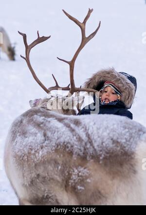 Little boy Fütterung Rentier im Winter Stockfoto