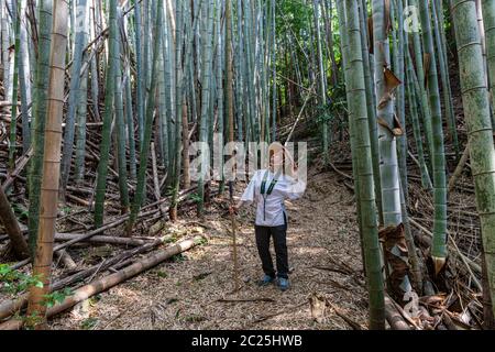 Die Shikoku Pilgerroute ist eine der wenigen kreisförmigen Pilgerfahrten der Welt. Es umfasst 88 offizielle Tempel und zahlreiche andere heilige sitzen Stockfoto