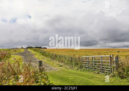 Landschaft in der Nähe von John o'Groats. Highlights Nordliches Festland Schottlands. Stockfoto