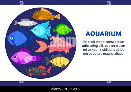 Vektor bunte Cartoon Fisch in kreisförmiger Form. Unterwasserwelt. Aquarium. Süße Unterwasserwelt. Fische. Broschüre, Flyer, Etikett, Cover, Poster, Banner, Pac Stockfoto