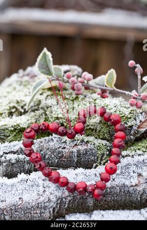 Rotes Herz aus Beeren im Freien an einem kalten Wintertag Stockfoto
