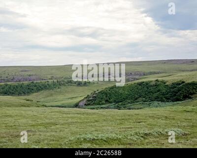 Landschaft der Tundra im Sommer. Sommer Tundra auf der Halbinsel Yamal. Westsibirien Stockfoto