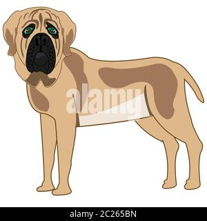 Vector Illustration der Cartoon von den Hund der Sortieren mastiff Stockfoto