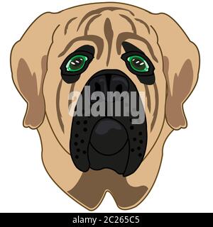 Portrait der Hund der sortieren Mastiff auf weißem Hintergrund isoliert ist Stockfoto