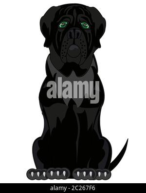 Cartoon der Sitzung schwarzer Hund der Sortieren mastiff Stockfoto