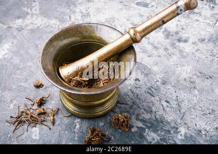 Getrocknete Baldrian wurzeln in alten Bronze Mörtel. Heilpflanze Stockfoto