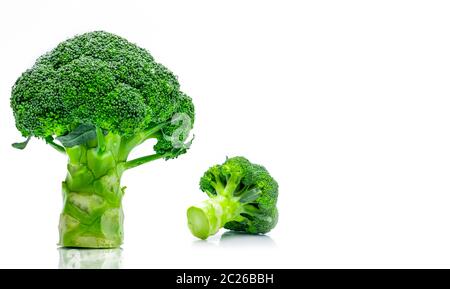 Satz von Green Brokkoli (Brassica oleracea). Gemüse natürliche Quelle von Beta-Carotin, Vitamin C, Vitamin K, Glasfaser Essen, Folsäure. Frischen Brokkoli Kohl Stockfoto