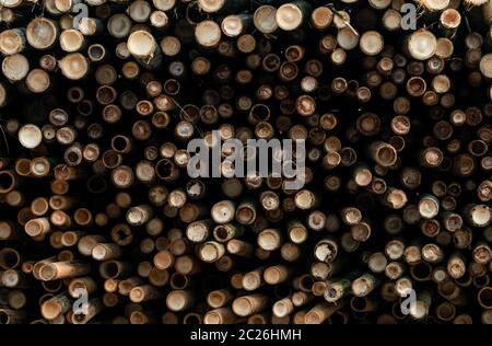 Stapel der Bambusstab. Stapel von Rundholz Rundholz. Große Stapel von Holz- Protokolle für industrielle oder Produktion. Lager von Material für Möbel Stockfoto