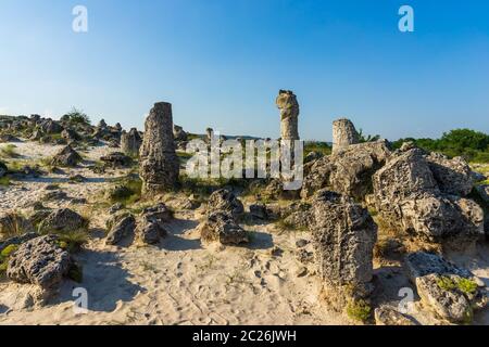 Pobiti Kamani (Steine), die auch als Steinwüste bekannt, ist eine Wüste - wie rock Phänomen auf der North West Provinz Varna Bulgarien entfernt. Stockfoto