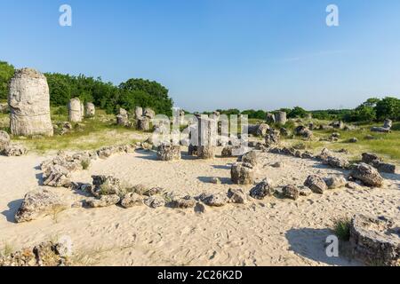 Pobiti Kamani (Steine), die auch als Steinwüste bekannt, ist eine Wüste - wie rock Phänomen auf der North West Provinz Varna Bulgarien entfernt. Stockfoto