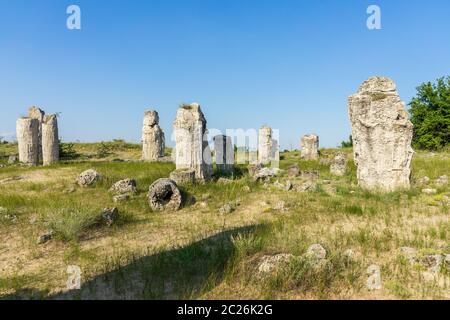 Pobiti Kamani (Steine), die auch als Steinwüste bekannt, ist eine Wüste - wie rock Phänomen auf der North West Provinz Varna Bulgarien entfernt. Stockfoto