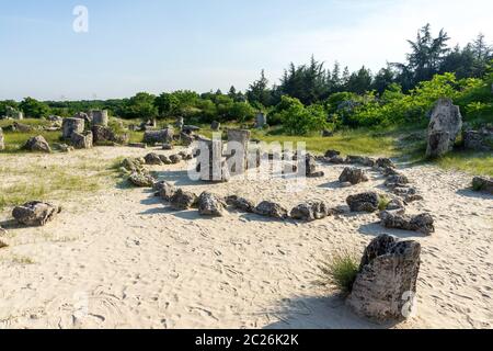 Pobiti Kamani (Steine), die auch als Steinwüste bekannt, ist eine Wüste - wie rock Phänomen auf der North West Provinz Varna Bulgarien entfernt. Stockfoto